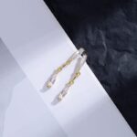 crystal drop earrings