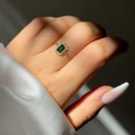 adjustable chain ring