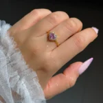 adjustable chain ring