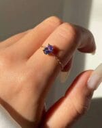 adjustable chain ring